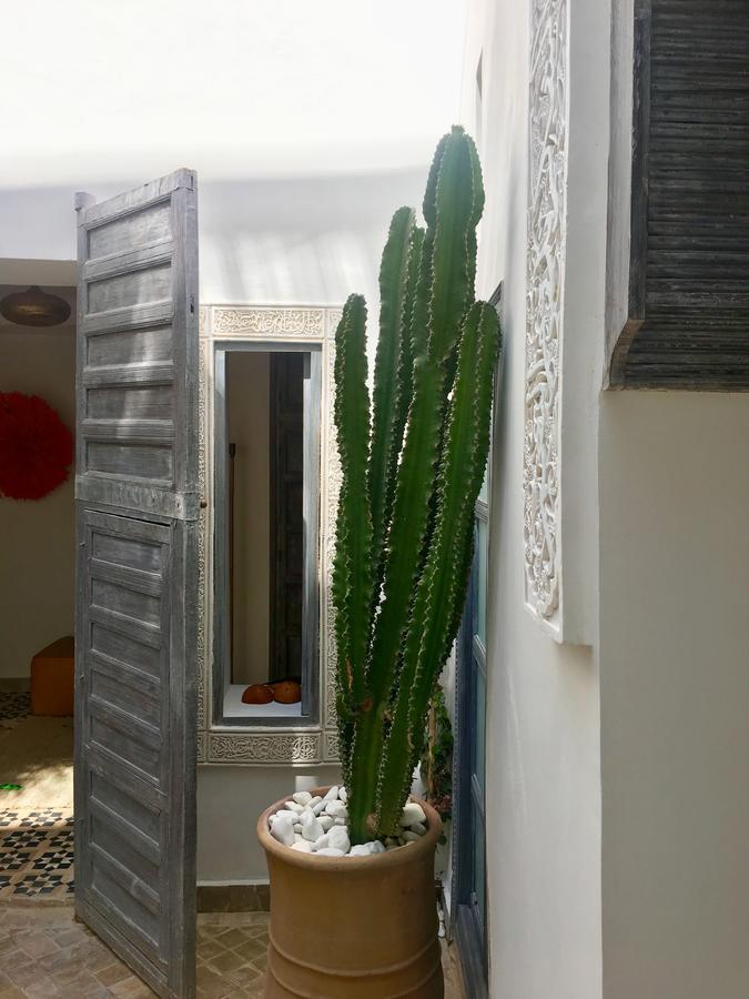 מרקש Riad Dar Tmania מראה חיצוני תמונה